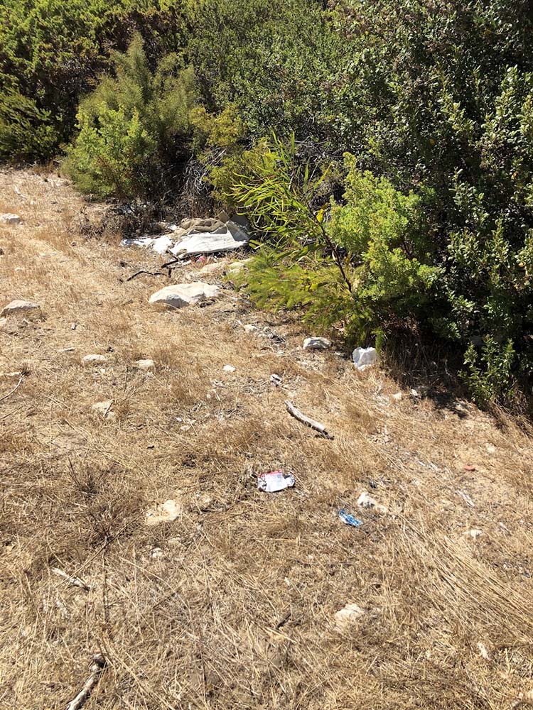 Western Conservation